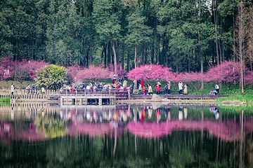浣花溪公园第 40 张图片
