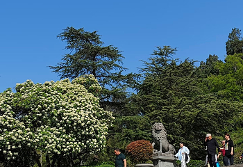 钟山风景名胜区第 145 张图片