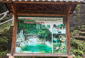 翡翠谷第 40 张图片