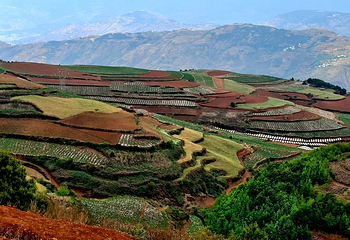 东川红土地第 30 张图片
