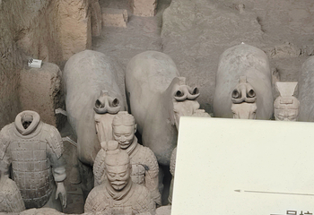 秦始皇帝陵博物院(兵马俑)第 389 张图片