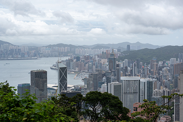 太平山顶第 97 张图片