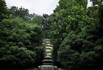 钟山风景名胜区第 124 张图片