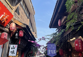 都江堰西街第 16 张图片