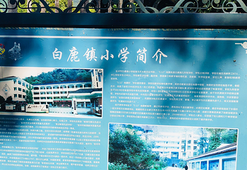 白鹿音乐小镇第 50 张图片