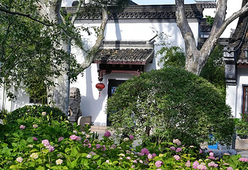 鲁迅公园第 29 张图片