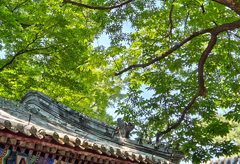 潭柘寺第 41 张图片