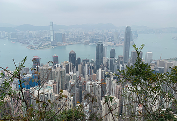 太平山顶第 52 张图片