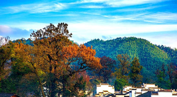新昌大佛寺景区-石城