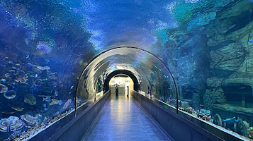 Trabzon Aquarium