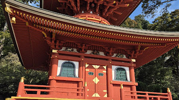 勝ちダルマ奉納棚