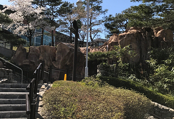 雪岳韩华温泉水乐园第 8 张图片