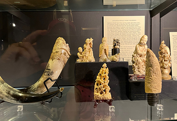 New Bedford Whaling Museum第 5 张图片