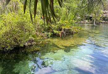 Cenote Azul第 14 张图片
