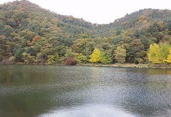 清平湖第 7 张图片