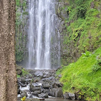 Materuni Trekking And Coffee Tour