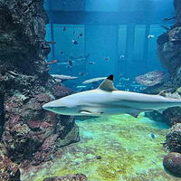 水族馆－水上动物园