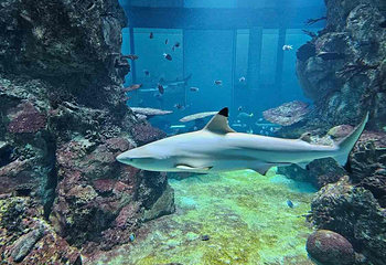 水族馆－水上动物园第 11 张图片