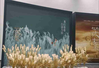 赳赳大秦第 71 张图片