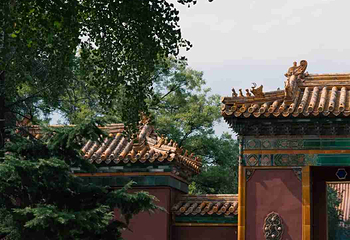 雍和宫第 98 张图片