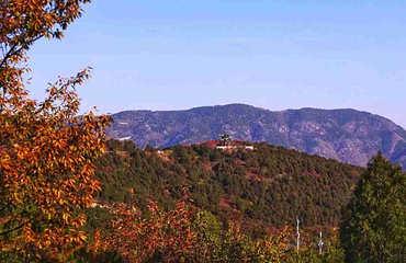北京西山国家森林公园第 34 张图片