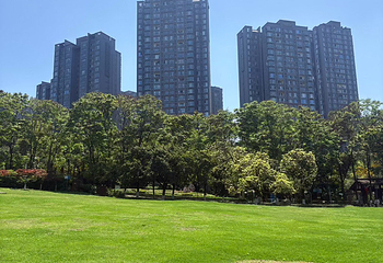 塔子山公园第 24 张图片