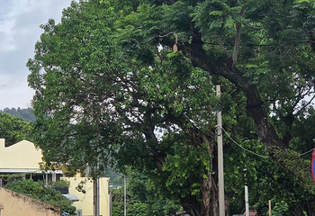 路环岛第 85 张图片