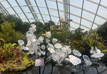 新加坡滨海湾花园第 292 张图片
