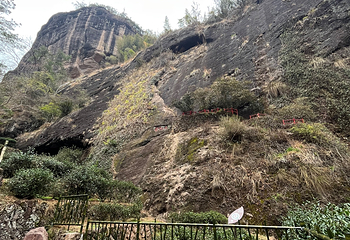 武夷山国家公园第 144 张图片