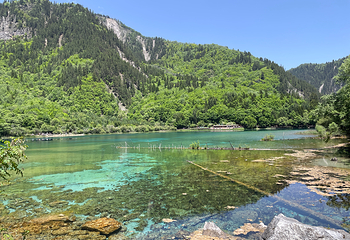 九寨沟风景区第 198 张图片