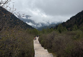 黄龙风景名胜区第 237 张图片
