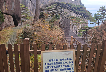 黄山风景区第 292 张图片