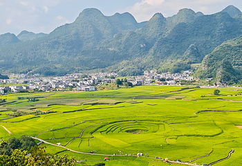 万峰林景区第 39 张图片