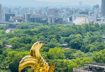 大阪城公园第 153 张图片