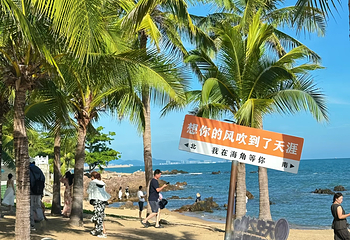天涯海角第 255 张图片