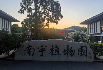 青秀山第 172 张图片