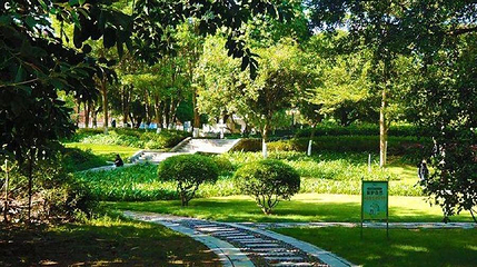 来宾市人民公园第 1 张图片