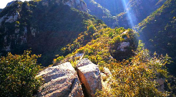 北京市五座楼森林公园