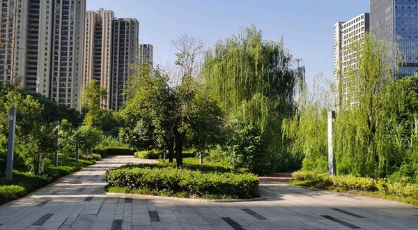 东驿体育公园-D区