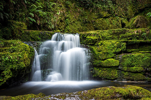 卡特林斯森林公园