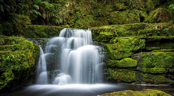 卡特林斯森林公园