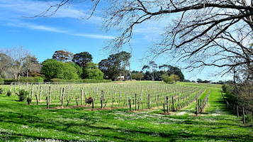 Briars Wildlife Sanctuary