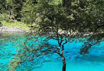 九寨沟风景区第 384 张图片