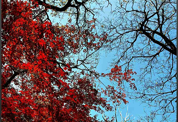 中山公园第 38 张图片