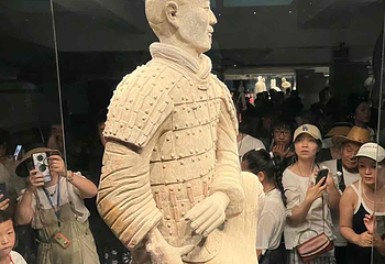 秦始皇帝陵博物院(兵马俑)第 558 张图片