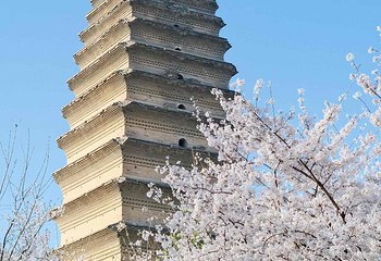小雁塔遗址公园第 35 张图片