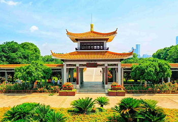 橘子洲景区第 23 张图片