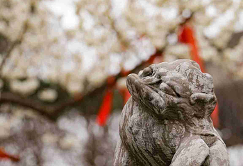 青龙寺第 48 张图片