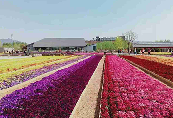 北京世园国际旅游度假区第 99 张图片