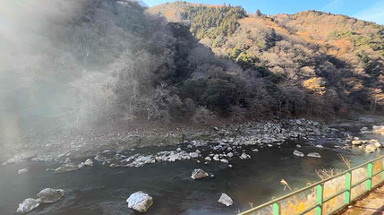 岚山嵯峨野观光小火车第 18 张图片
